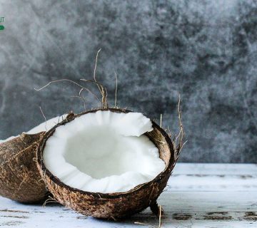 Facts About Indonesian Coconut Products Exported by Sari Coconut