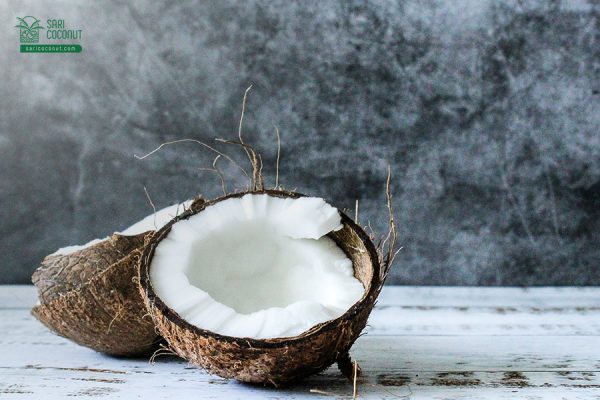 coconut-products-exported-by-Sari-Coconut Facts About Indonesian Coconut Products Exported by Sari Coconut