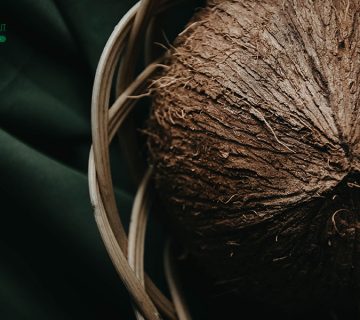 Indonesia and Coconut: From Driving The Economy to Culture