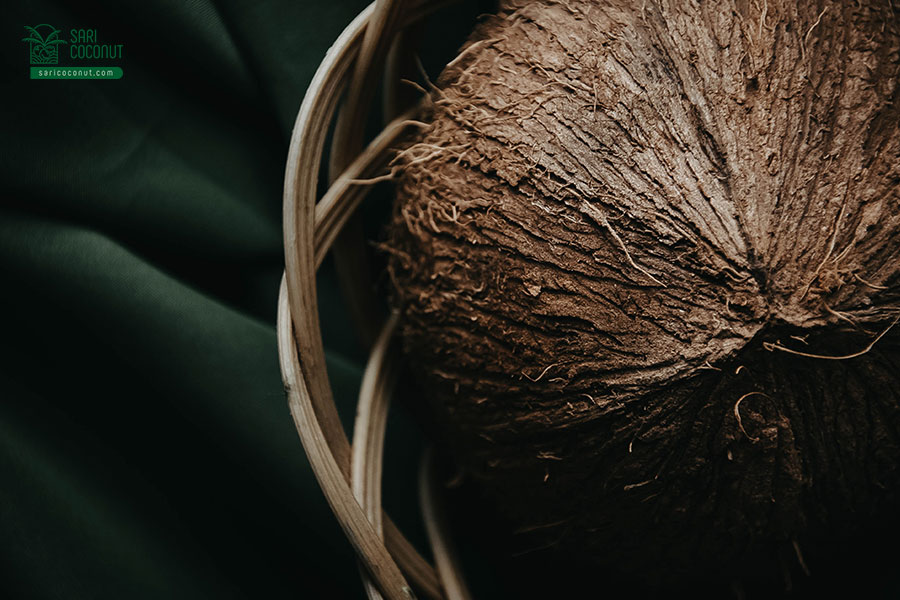 Indonesia and Coconut: From Driving The Economy to Culture