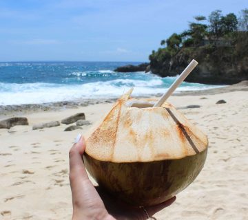 coconut from indonesia