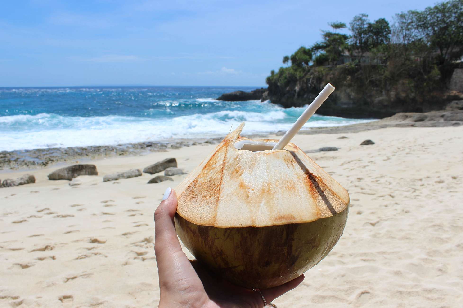 coconut from indonesia