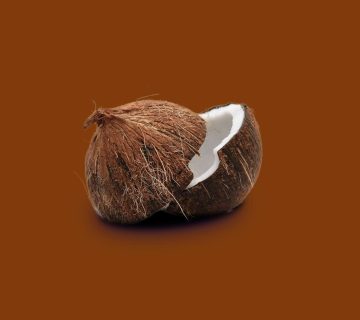 coconut product from indonesia