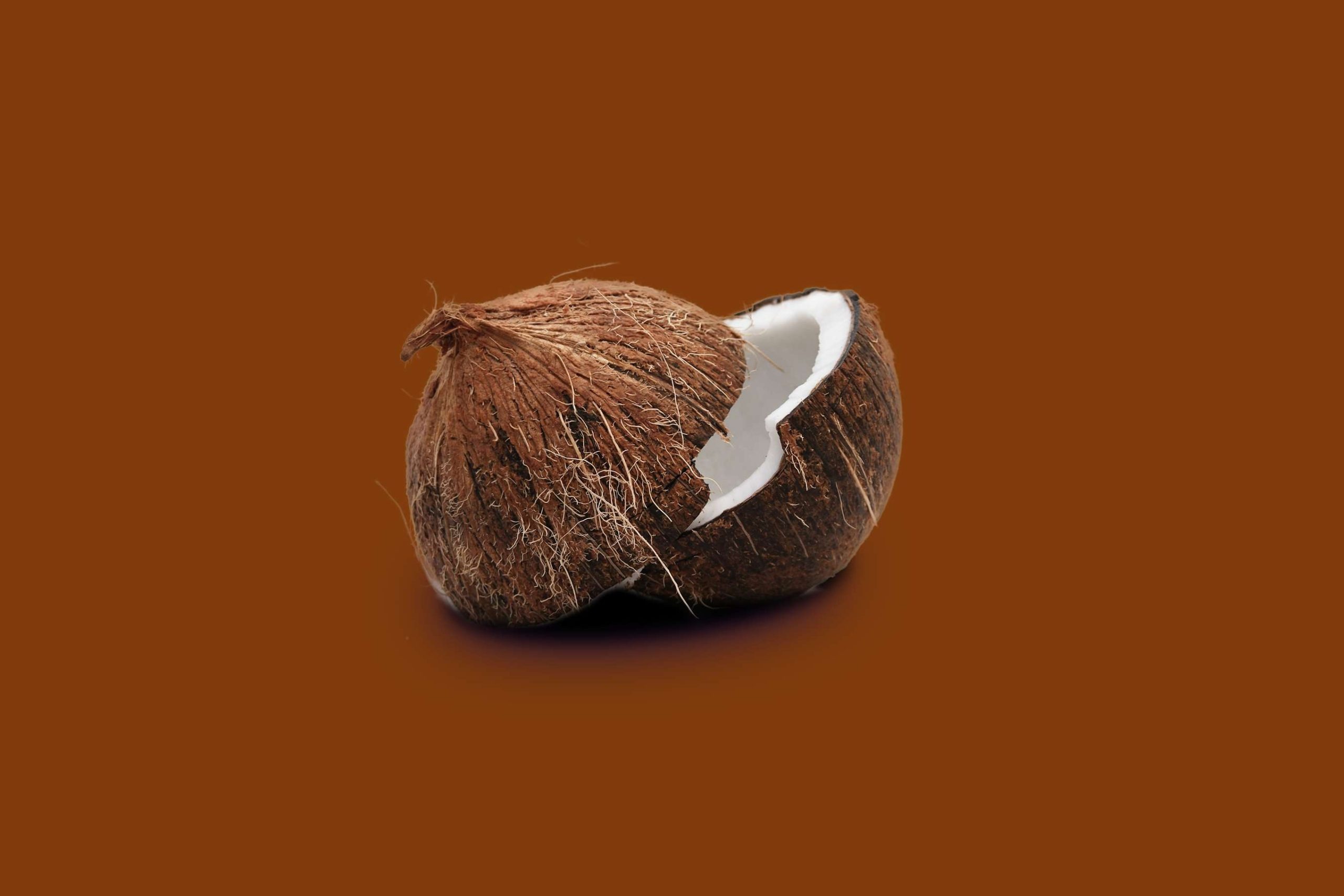 coconut product from indonesia