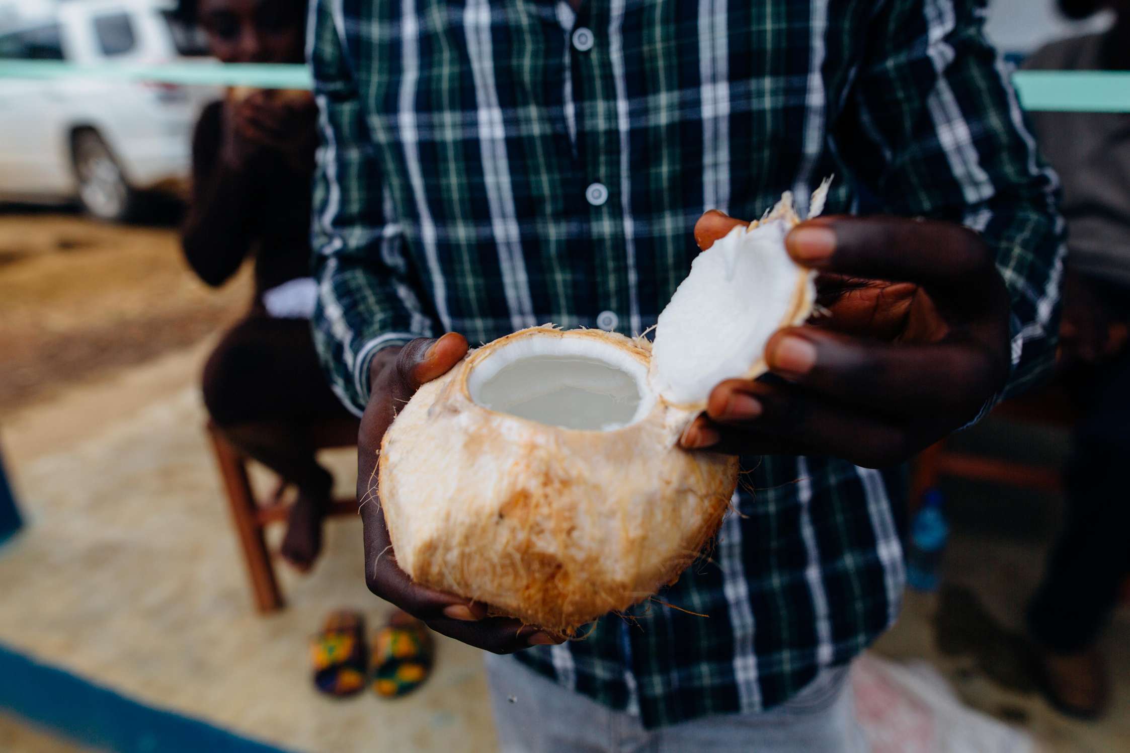 desiccated coconut type
