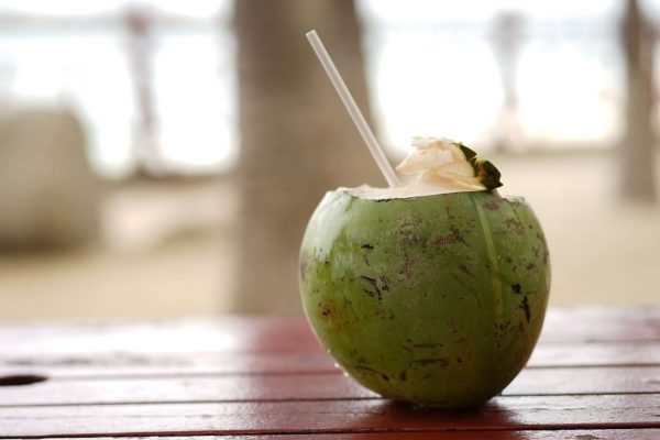how long do coconuts last how long do coconuts last
