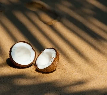 How to Keep Coconut Products Fresh for Long-Term