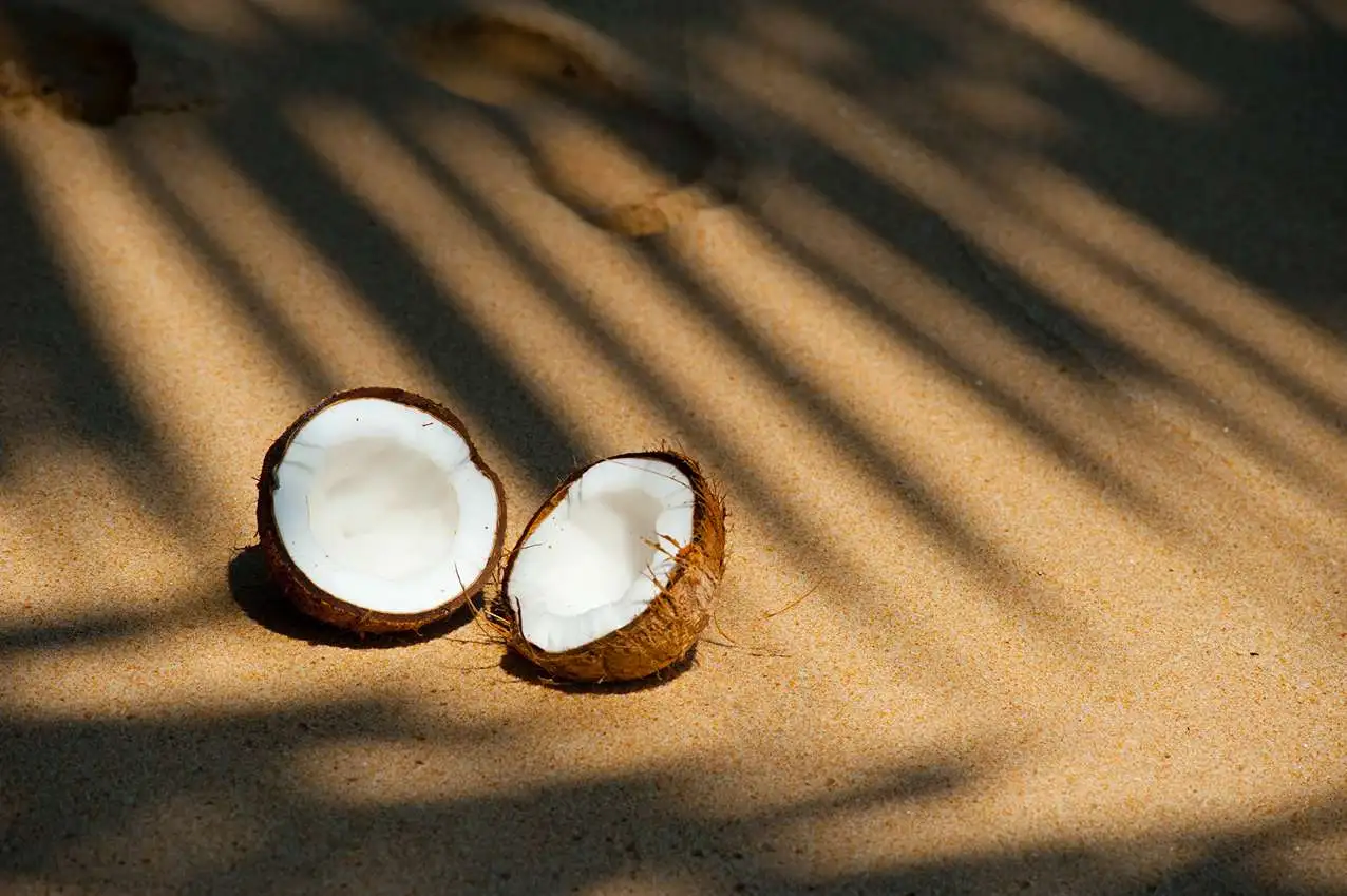 How to Keep Coconut Products Fresh for Long-Term