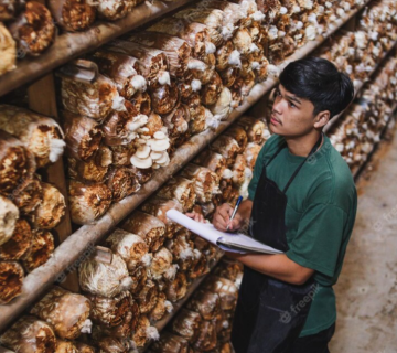 how to export from indonesia