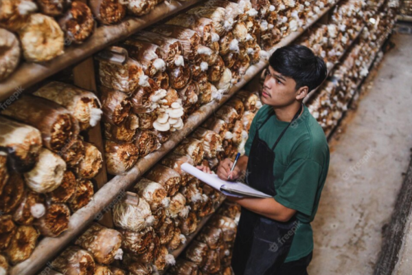 how to export from indonesia how to export from indonesia