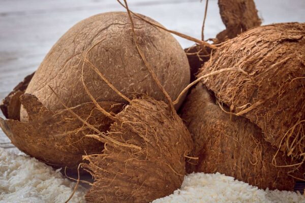 what is dry coconut what is dry coconut