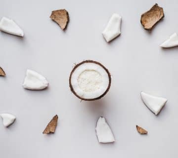 desiccated coconut supplier