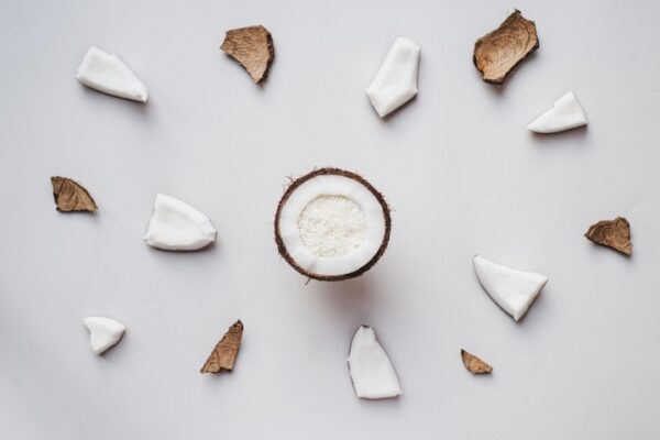 desiccated-coconut-supplier desiccated coconut supplier