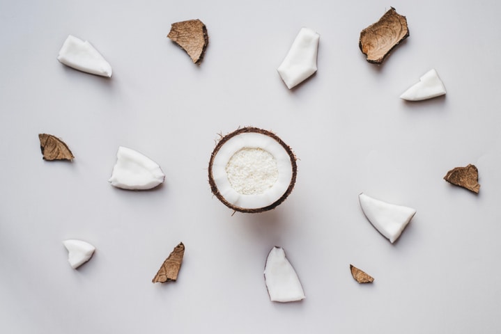 desiccated coconut supplier