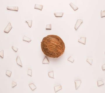 supplier desiccated coconut indonesia