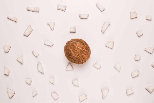 supplier-desiccated-coconut-indonesia supplier desiccated coconut indonesia
