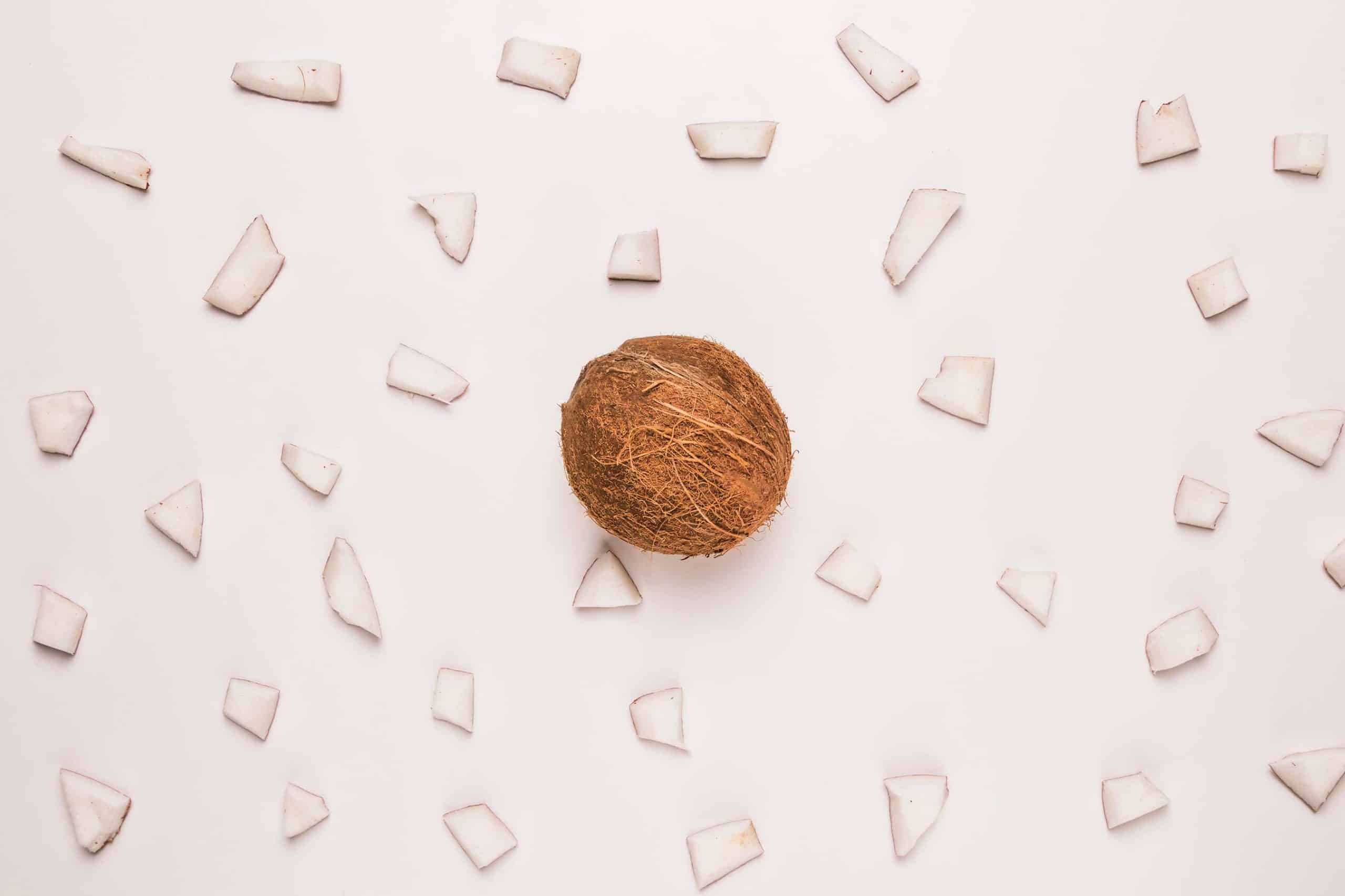 supplier desiccated coconut indonesia