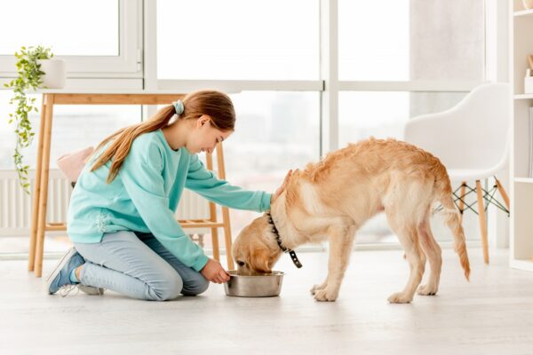 Virgin Coconut Oil for Dogs A Guide to Use and Benefits Virgin Coconut Oil for Dogs A Guide to Use and Benefits