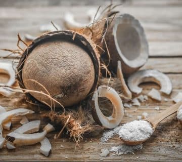 Sari Coconut Leading Desiccated Coconut Exporters